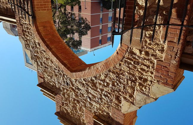 Escursione a piedi alla scoperta della North Terrace Cultural - Foto 9